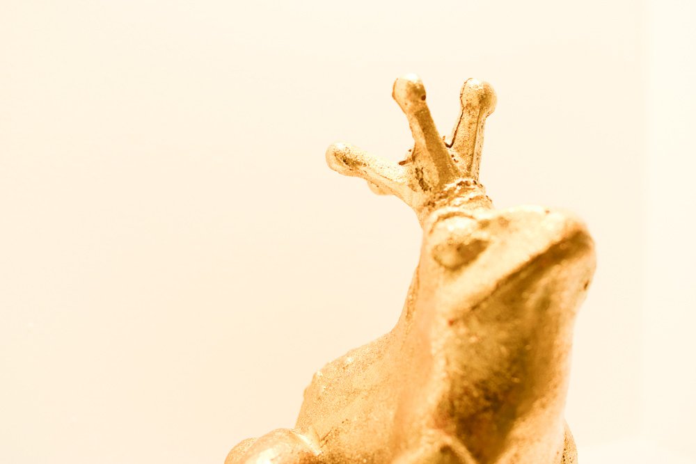 Dekorative Elemente - Herzog Suite